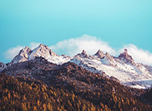 华体会官网：用专业与信赖点亮你的体育投注之路